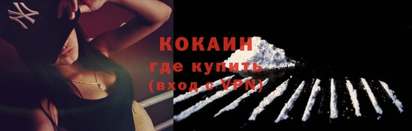 дмт Переславль-Залесский
