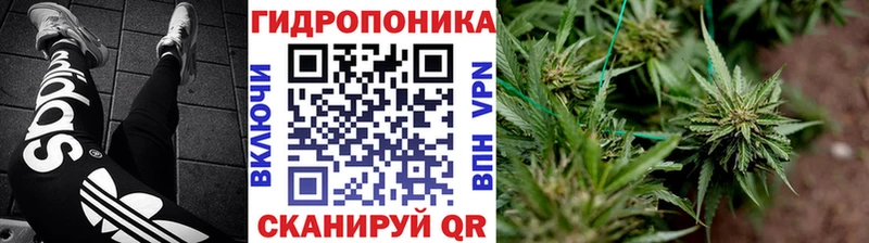 блэк спрут ONION  Арамиль  Шишки марихуана VHQ 